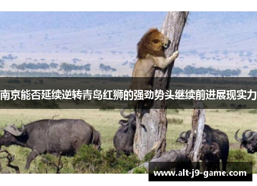 南京能否延续逆转青岛红狮的强劲势头继续前进展现实力