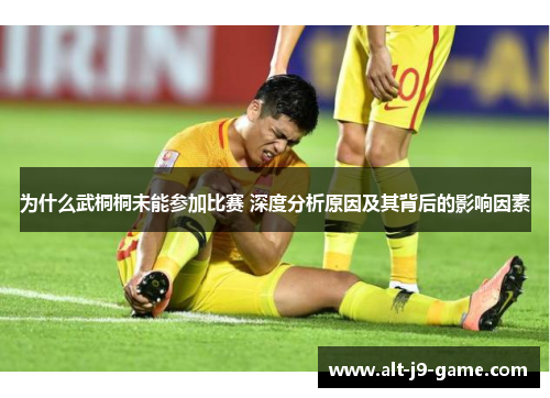 为什么武桐桐未能参加比赛 深度分析原因及其背后的影响因素 为什么武桐桐未能参加比赛 深度分析原因及其背后的影响因素