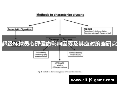 超级杯球员心理健康影响因素及其应对策略研究 超级杯球员心理健康影响因素及其应对策略研究