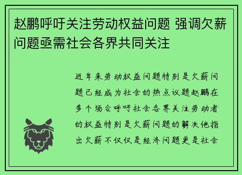 赵鹏呼吁关注劳动权益问题 强调欠薪问题亟需社会各界共同关注 赵鹏呼吁关注劳动权益问题 强调欠薪问题亟需社会各界共同关注