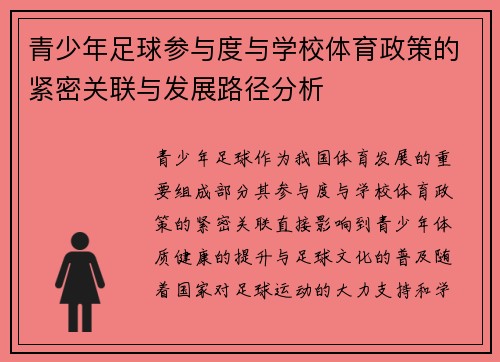 青少年足球参与度与学校体育政策的紧密关联与发展路径分析