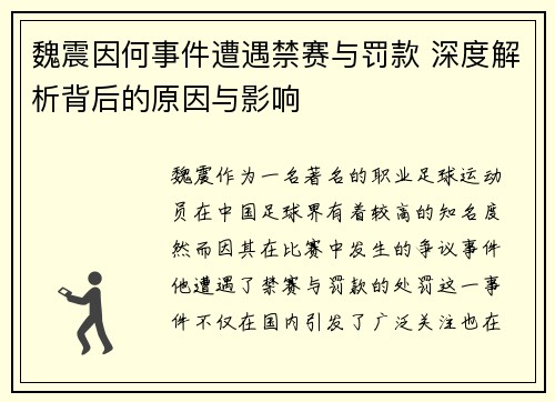 魏震因何事件遭遇禁赛与罚款 深度解析背后的原因与影响